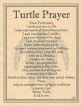 Turtle Prayer poster