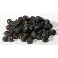 Juniper Berries whole 1oz  (Juniperus communis)