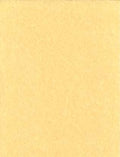 Light Parchment 5 Pack (8 1/2" x 11")